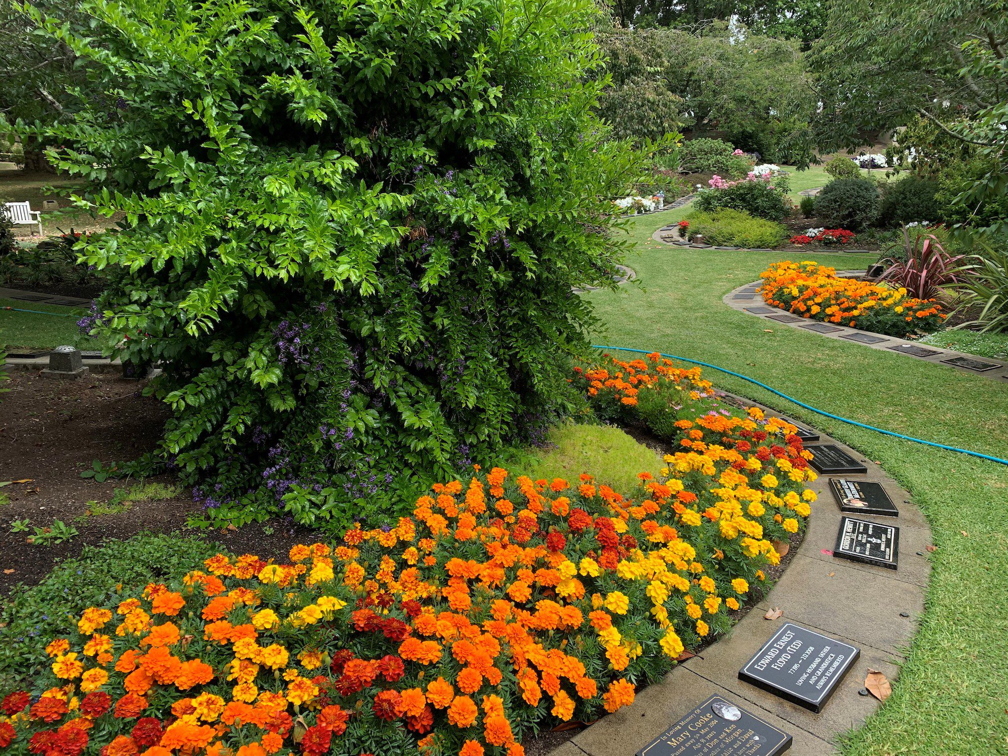 Old Kidney Gardens