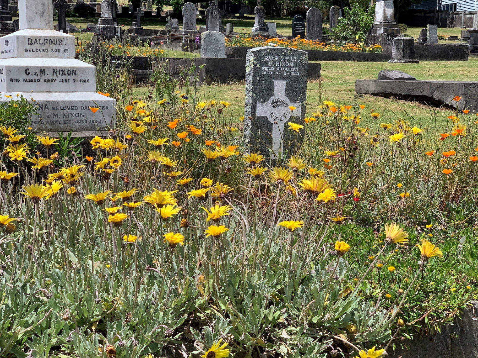 Flowers - War Graves