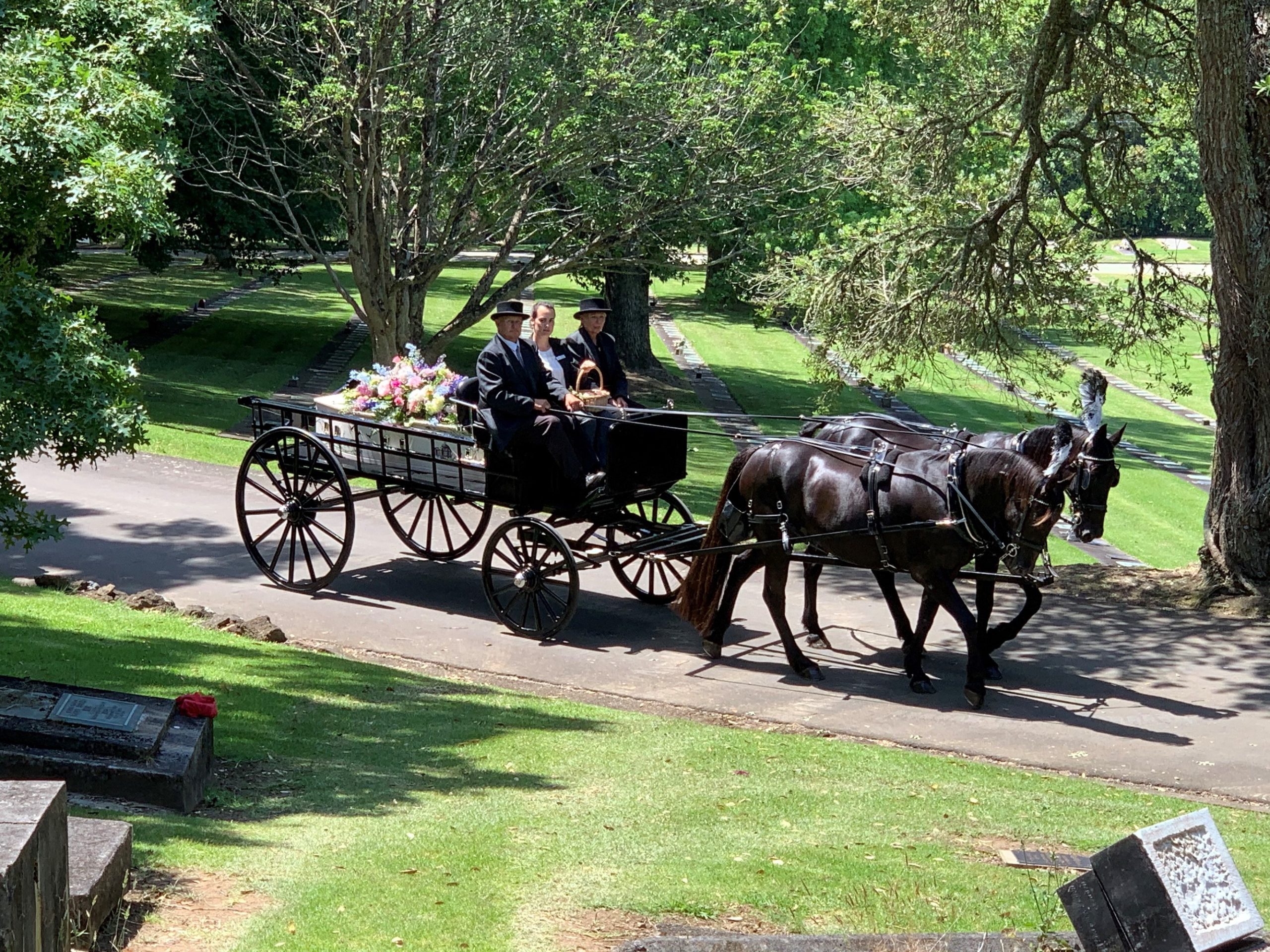 Horse Drawn Hearse