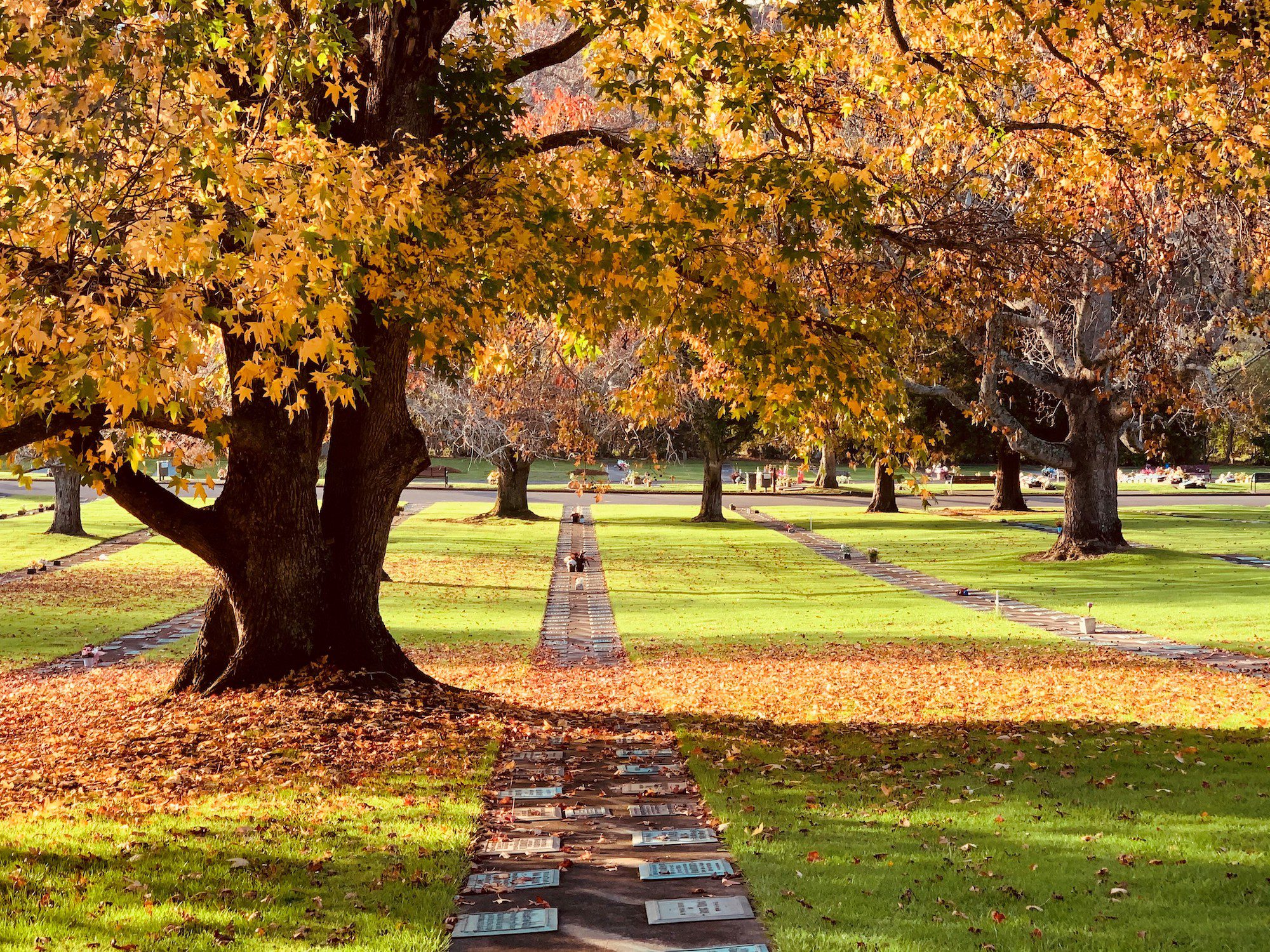Lawn Cemetery