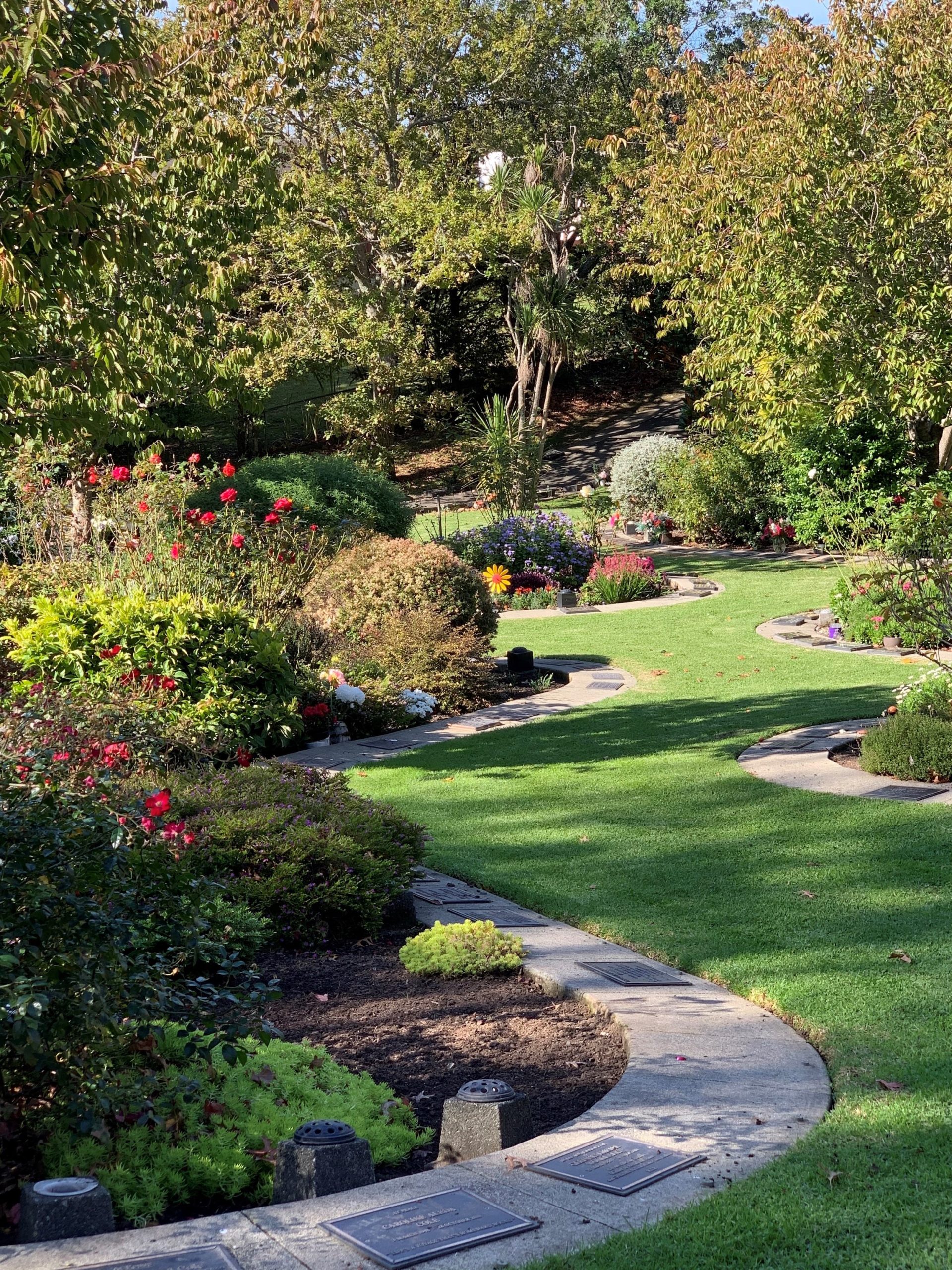Kidney Gardens
