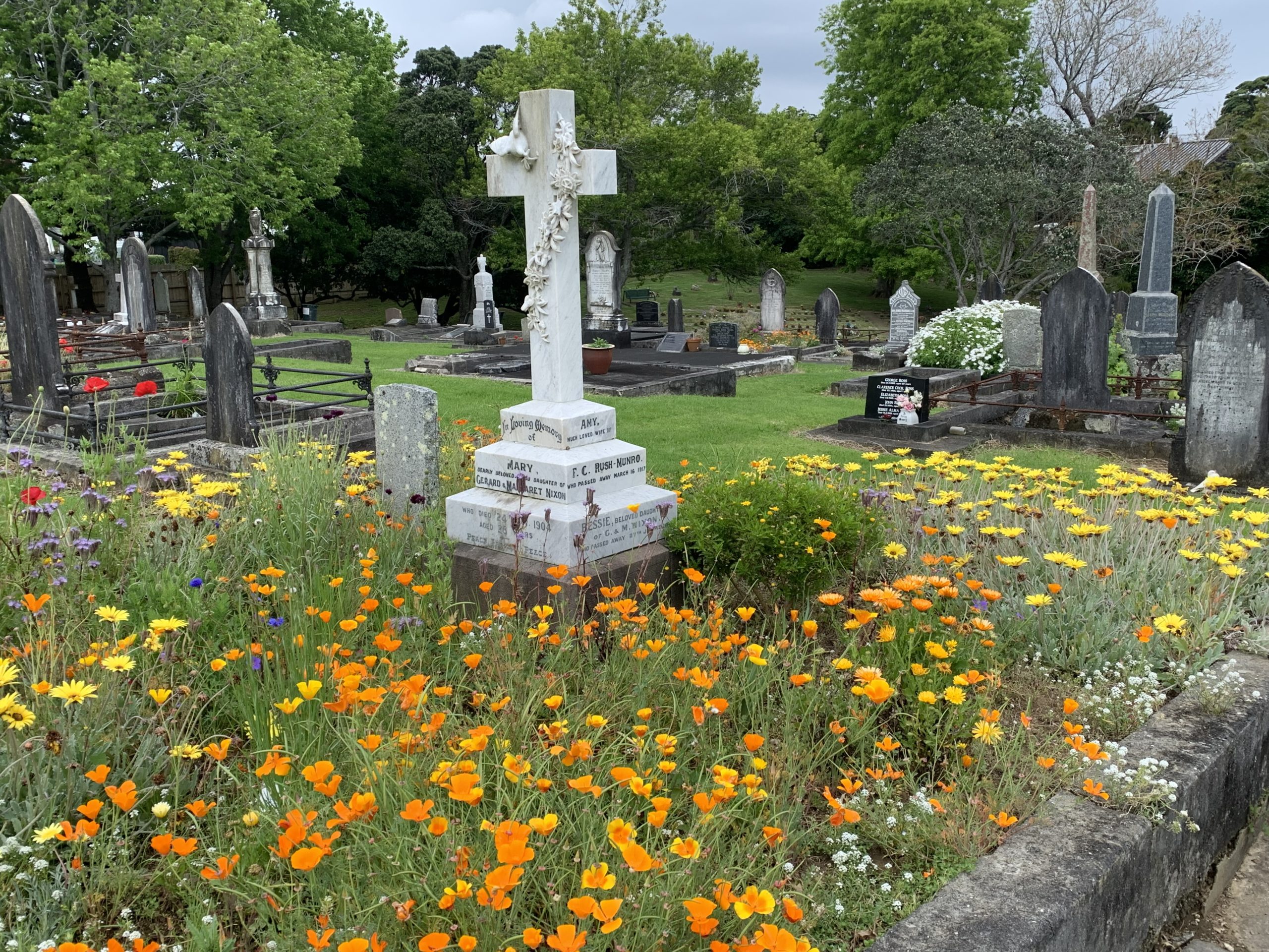 Change in Pre-Purchase Burial Plot Policy
